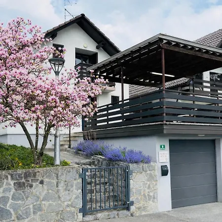 Διαμέρισμα Aurea House Podčetrtek